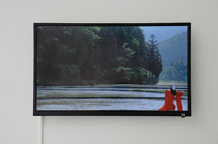 Galerie Esther Woerdehoff Paris, 2012