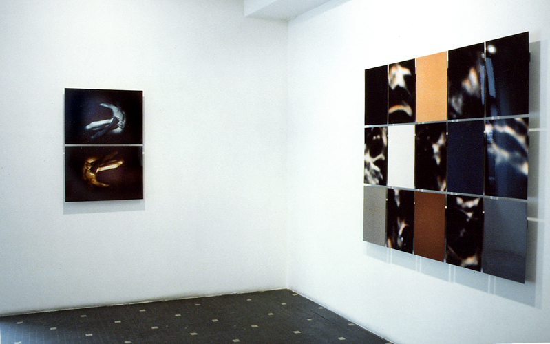 Galerie Natkin Berta, Paris, 1996