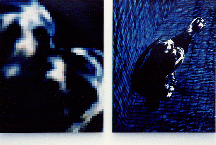 EXPRTT 3, 1990/1995, 120 x 155 cm / x2, tirages photographiques Cibachrome sur alucubond