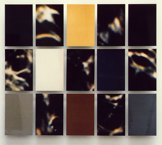 EXPRTT1, 30 x 45cm /x15, format total 141 x 162 cm,  tirages photographiques Cibachrome sur alucubond