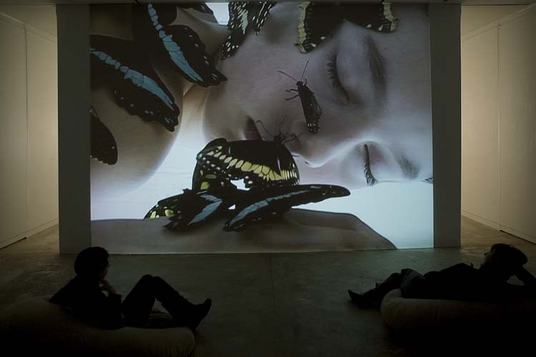 Dispositif vidéo, Maison des Arts de Malakoff, 2009