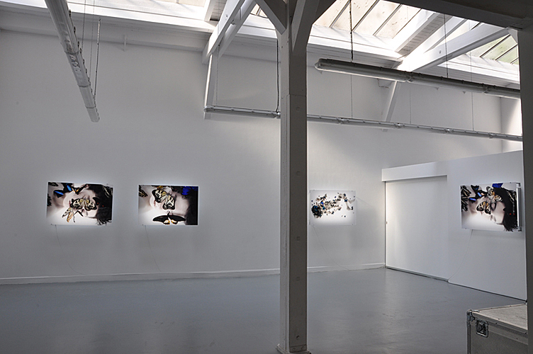 Galerie Esther Woerdehoff Paris, 2010