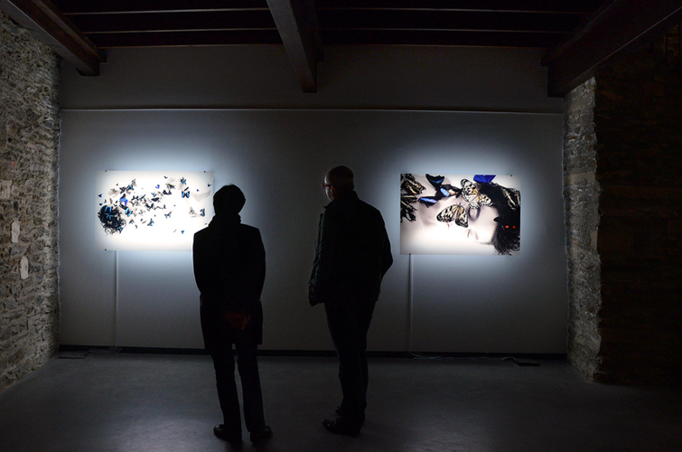 Travail photographique Nymphalis antiopa à l'espace d'art contemporain de la ville de Nantes, 2014