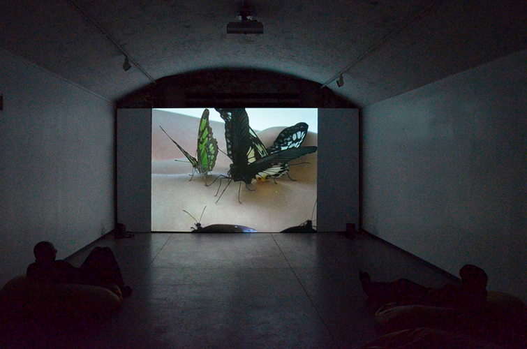 Video Nymphalis antiopa à l'espace d'art contemporain de la ville de Nantes, 2014